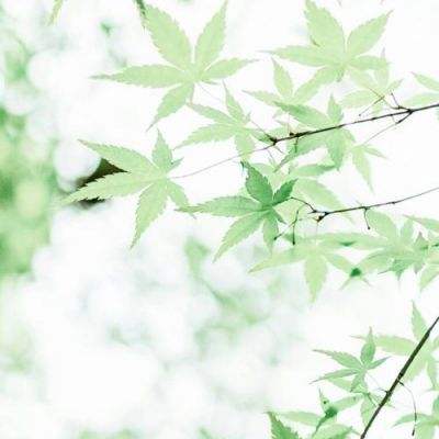 果盘朝歌封神录手游变态版下载