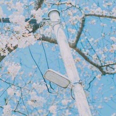 魔兽之心内购破解版下载